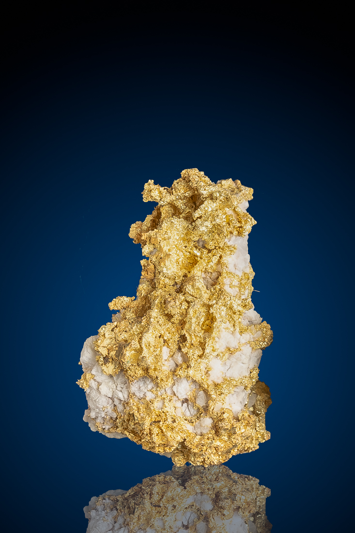(image for) T2885Leongated and Loaded with Buttery Yellow Gold with White Quartz - California - 7.56 grams